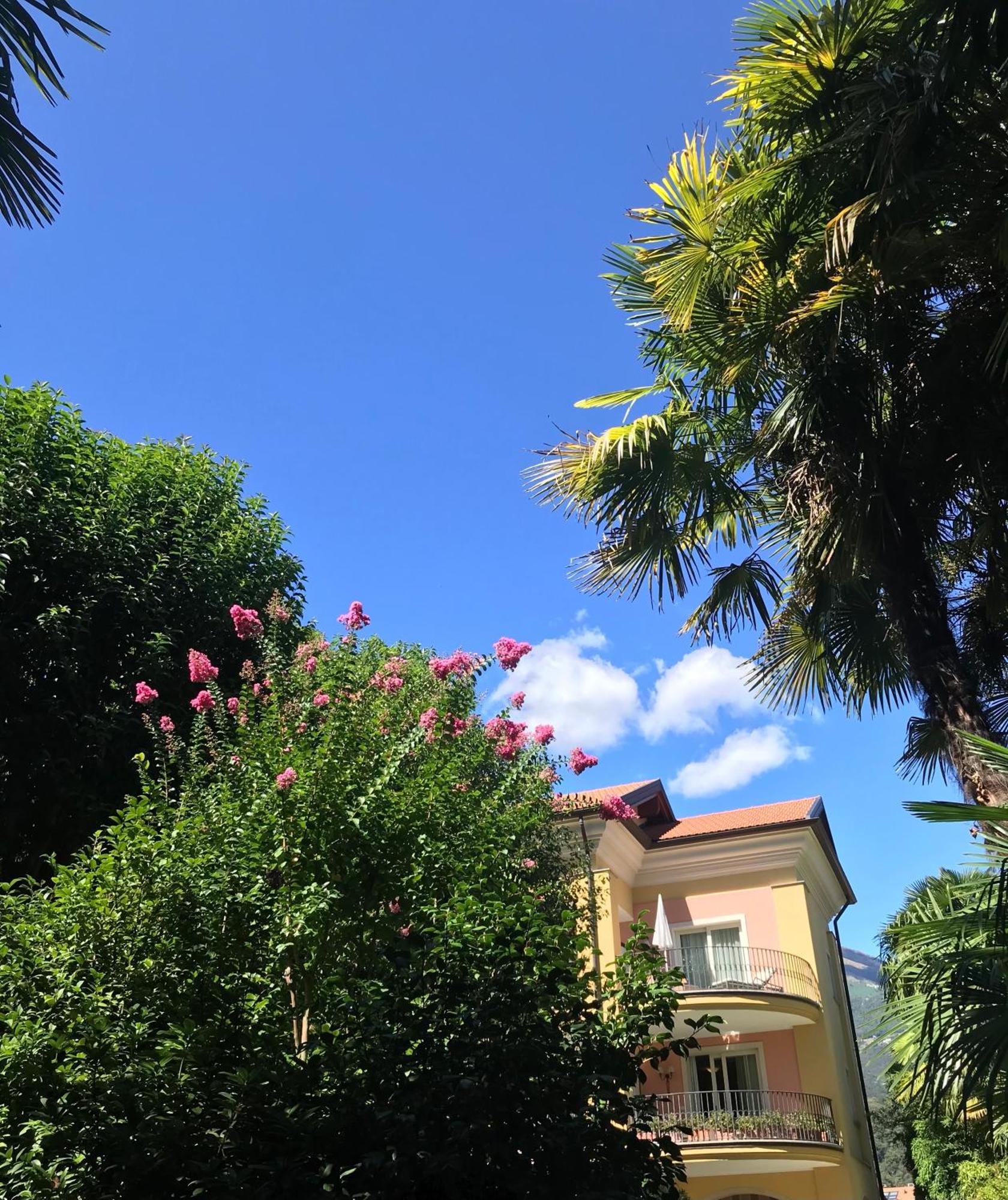 Villa Palmira Kinderfreies Hotel Cannobio Eksteriør bilde